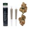 Runtz Pre-Roll Pack